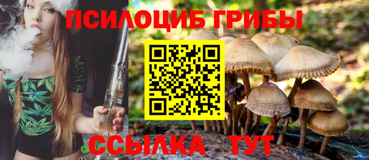 Псилоцибиновые грибы прущие грибы  Вход с VPN  Кунгур  Галлюциногенные грибы Magic Shrooms 