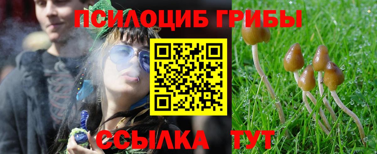 Галлюциногенные грибы Psilocybe Кунгур